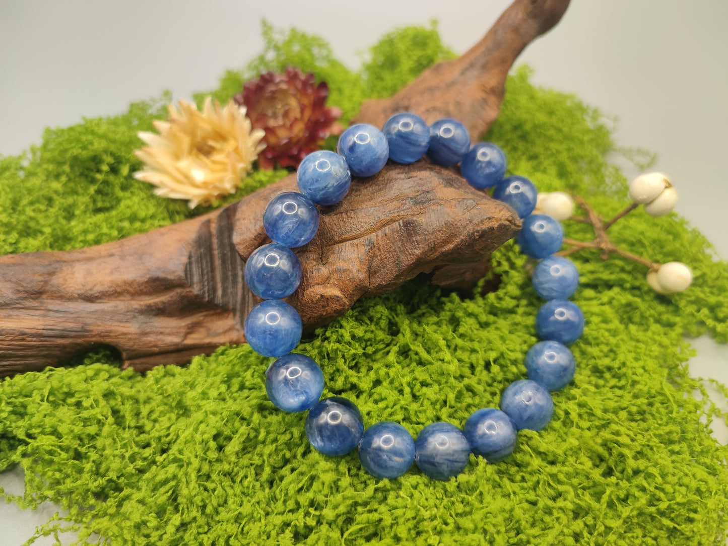 Super Energy Kyanite Bead Bracelet - Stone of Inspiration - Water Energy - EnerChi Crystals