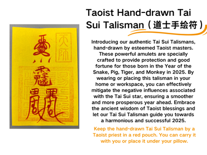 Mountain Ghost Coin Tai Sui Double Dragon Necklace - with Handwritten Tai Sui Talisman by Taoist Priest
